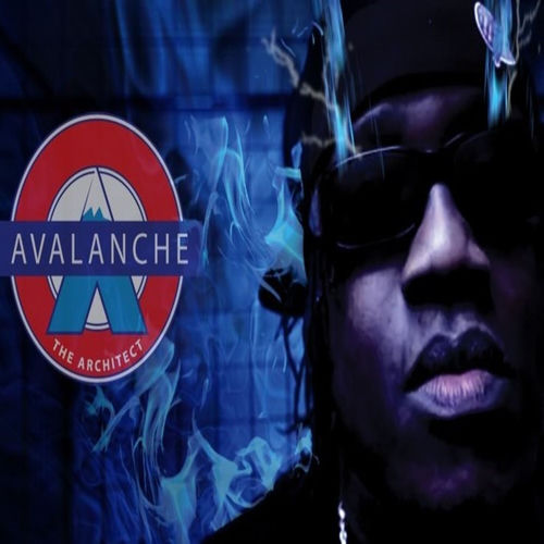 Cover von Avalanche The Architect