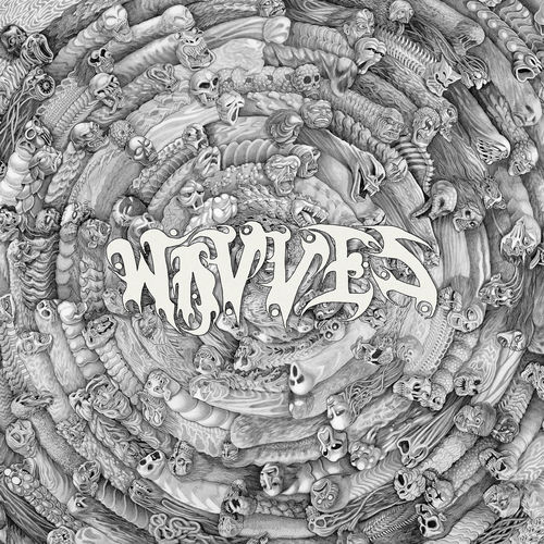 Cover von Wavves