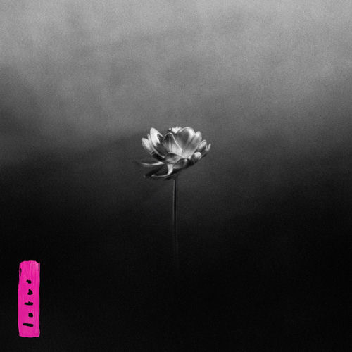 Cover von Little Simz