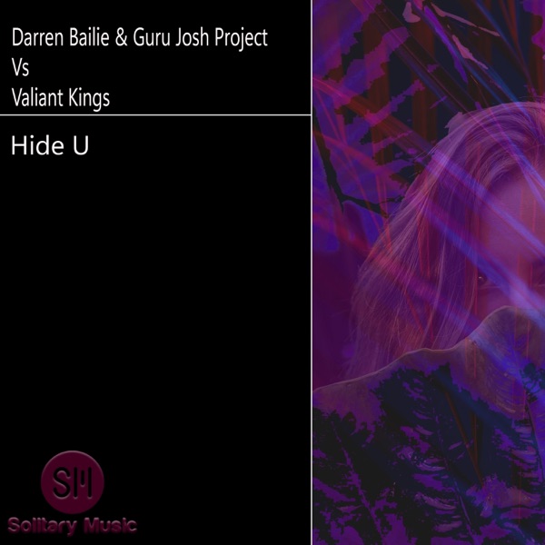 Cover von Darren Bailie & Guru Josh Project vs. Valiant Kings