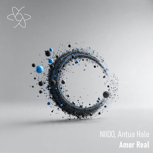 Cover von NIIDO, Antua Hale