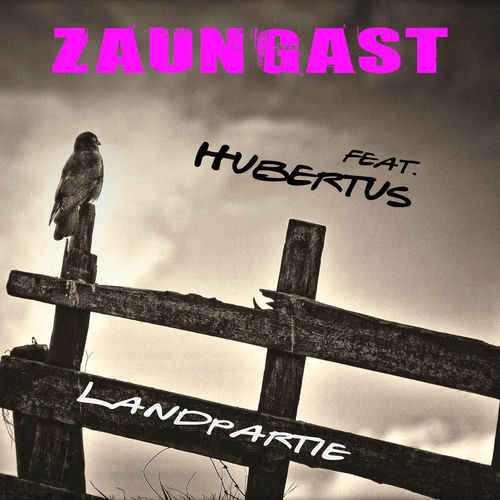 Cover von Zaungast feat. Hubertus
