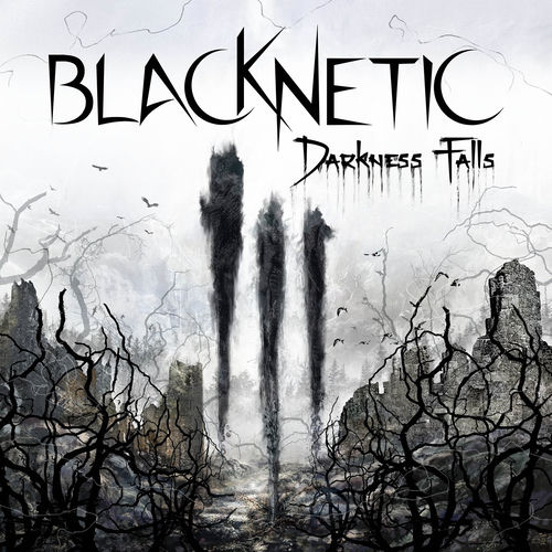 Cover von BlacKNetiC