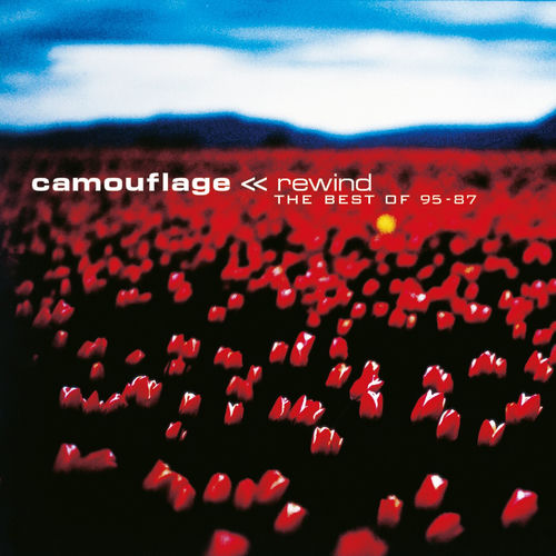 Cover von Camouflage 