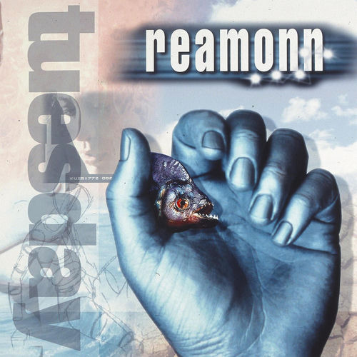 Cover von Reamon