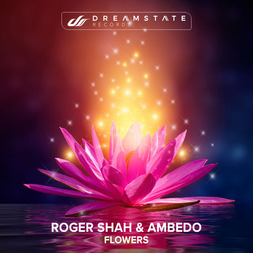 Cover von Roger Shah And Ambedo