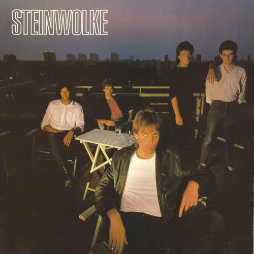Cover von Steinwolke