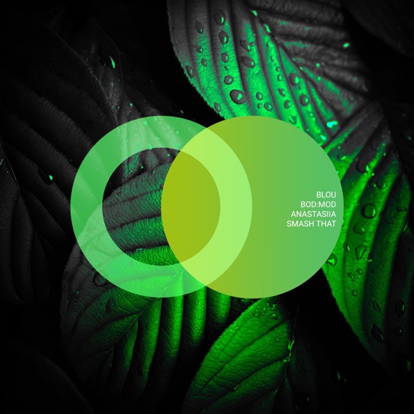 Cover von AIEOU, bod:mod, ANASTASiiA