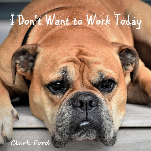 Cover von Clark Ford