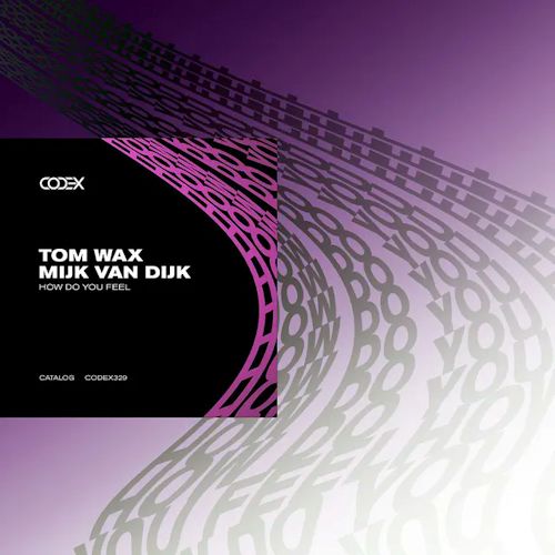 Tom Wax, Mijk van Dijk - How Do You Feel