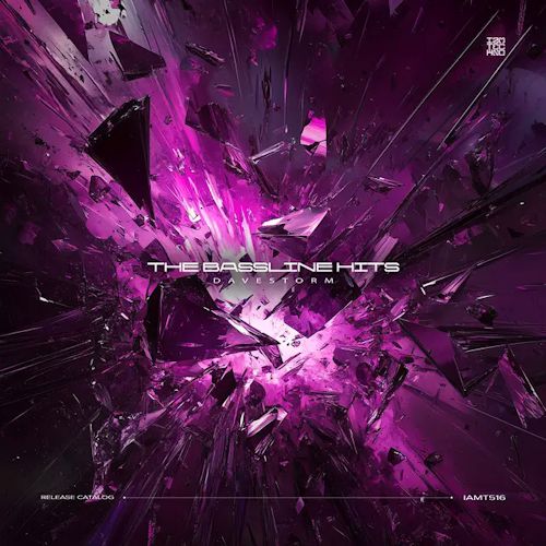 Davestorm - The Bassline Hits