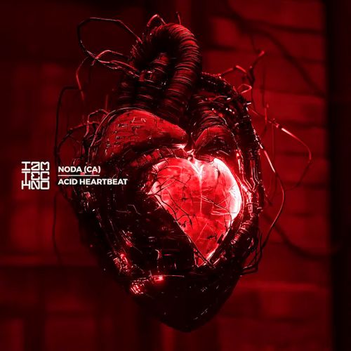 NODA (CA) - Acid Heartbeat