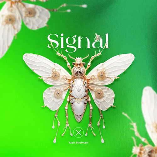 Neil Richter - Signal