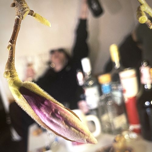 Sankt Krinzinger - Aprilwetter In Der Bar