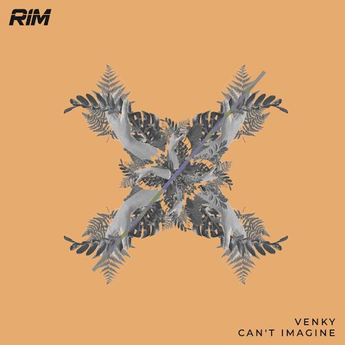 Venky - Can't Imagine