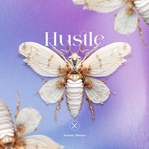 Tumzz, Tonino - Hustle