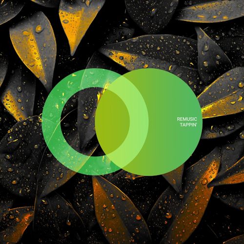 Remusic - Tappin' 