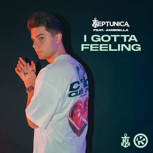 NEPTUNICA feat. AMBRELLA - I Gotta Feeling 