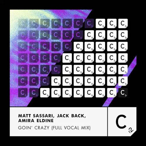 Matt Sassari, Jack Back, Amira Eldine - Goin' Crazy 