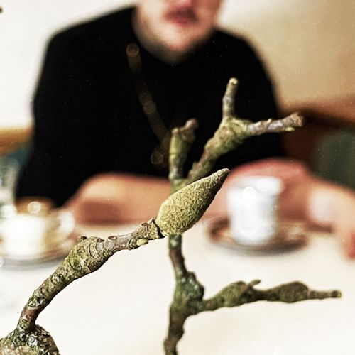Sankt Krinzinger - Frühjahr