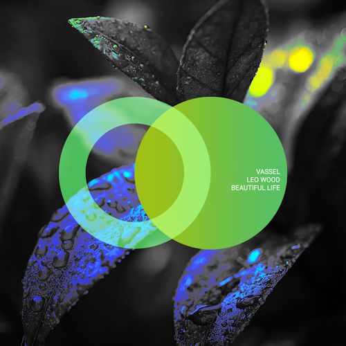 Vassel, Leo Wood - Beautiful Life