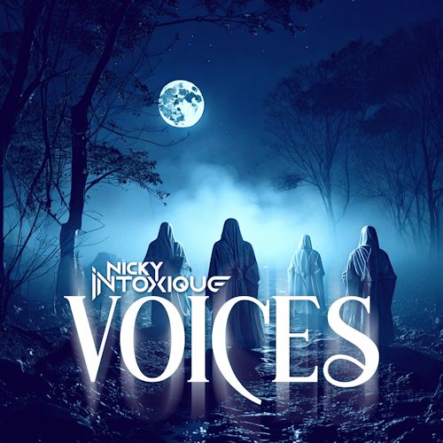 Nicky Intoxique - Voices 