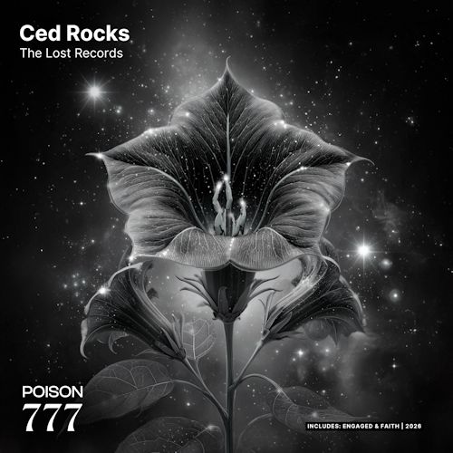 Ced Rocks - The Lost Records
