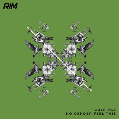 Zule Paz - No Gender Feel This
