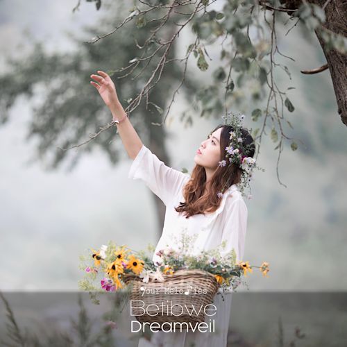 Betibwe - Dreamveil