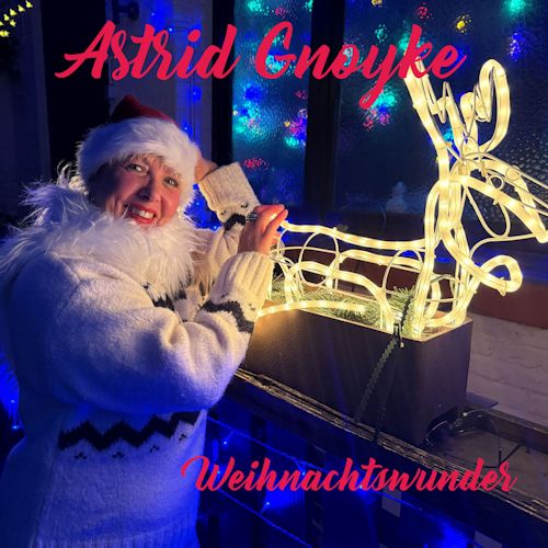 Astrid Gnoyke - Weihnachtswunder 