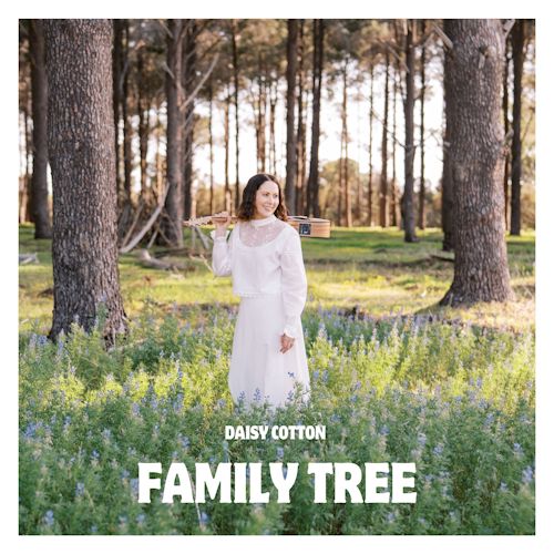 Daisy Cotton - Family Tree 