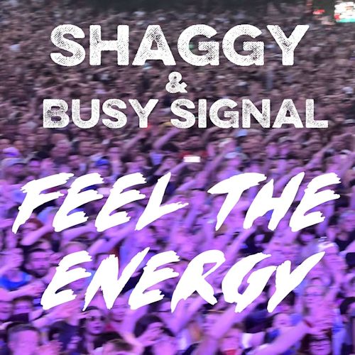 Shaggy feat. Busy Signal - Feel The Energy
