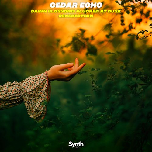  Cedar Echo - Dawn Blossoms Plucked At Dusk/Benediction