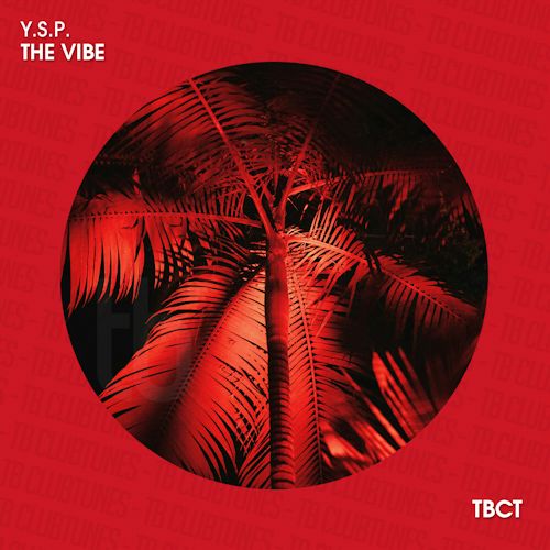 Y.S.P. - The Vibe