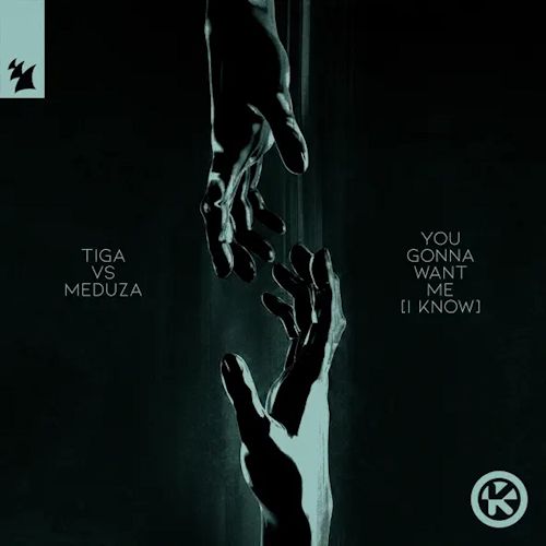 Tiga vs. MEDUZA - You Gonna Want Me (I Know)