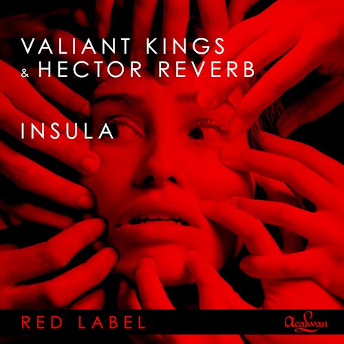 Valiant Kings & Hector Reverb - Insula