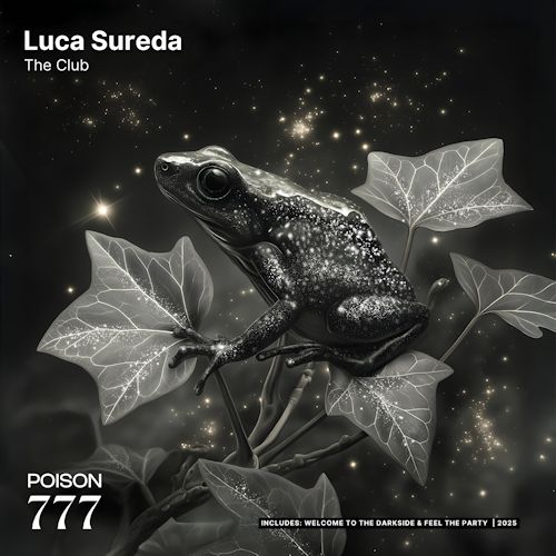Luca Sureda - The Club