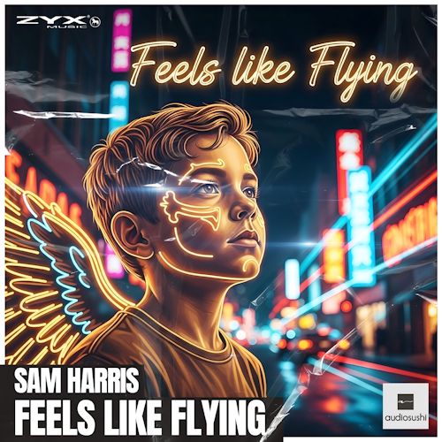 Sam Harris - Feels Like Flying