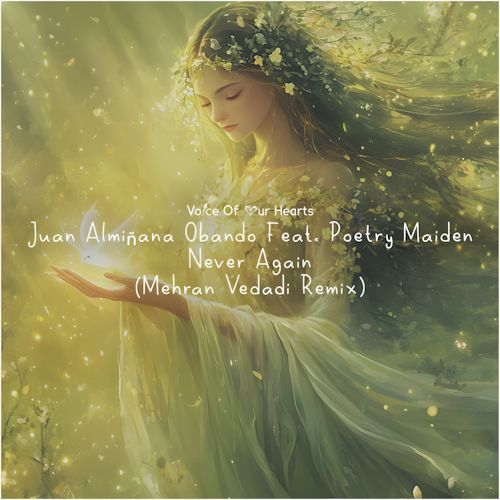 Juan Almiñana Obando feat. Poetry Maiden - Never Again