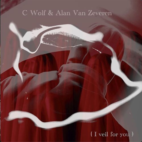 C. Wolf & Alan van Zeveren - I Veil For You