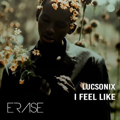 LucSoniX - I Feel Like
