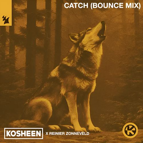 KOSHEEN & Reinier Zonneveld - Catch