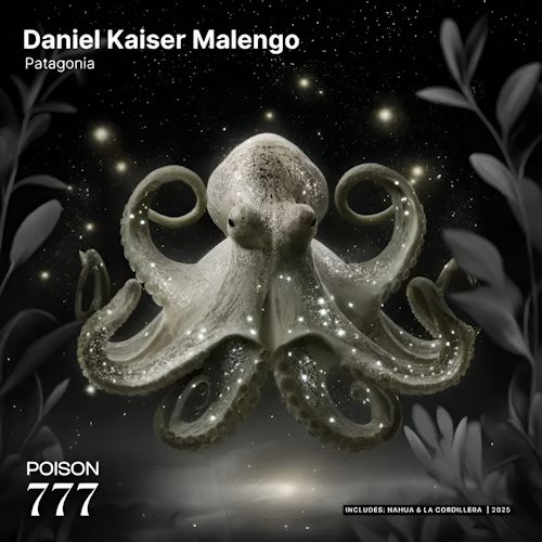 Daniel Kaiser Malengo - Patagonia