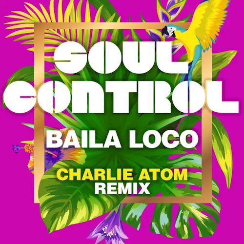 Soul Control - Baila Loco