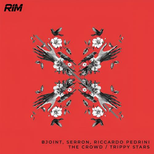 Bjoint, Serron, Riccardo Pedrini - The Crowd/Trippy Stars