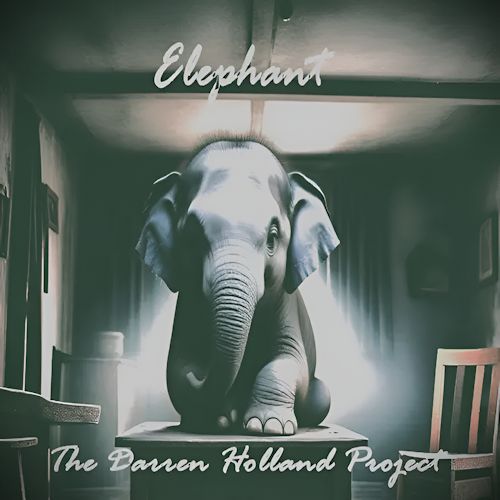The Darren Holland Project - Elephant