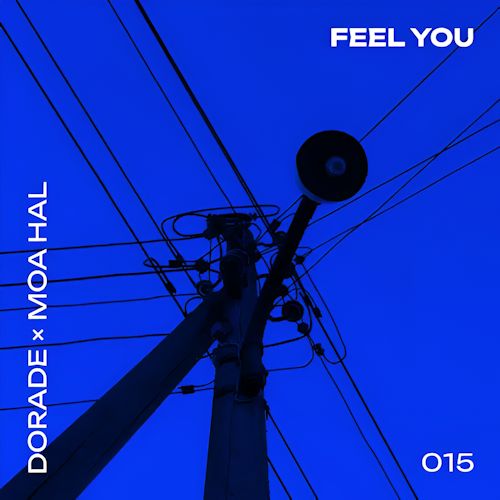 Dorade & MOA HAL - Feel You