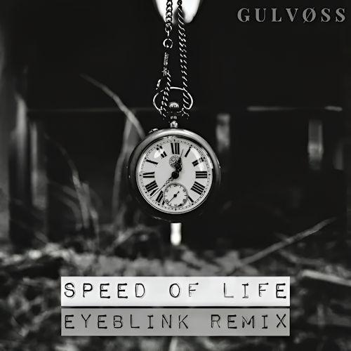 GULVØSS - Speed Of Light 