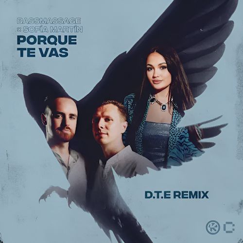 BASSMASSAGE & SOFÍA MARTÍN - Porque Te Vas 