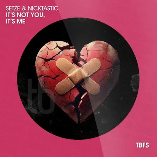 Setze & NICKTASTIC - It´s Not You, It´s Me